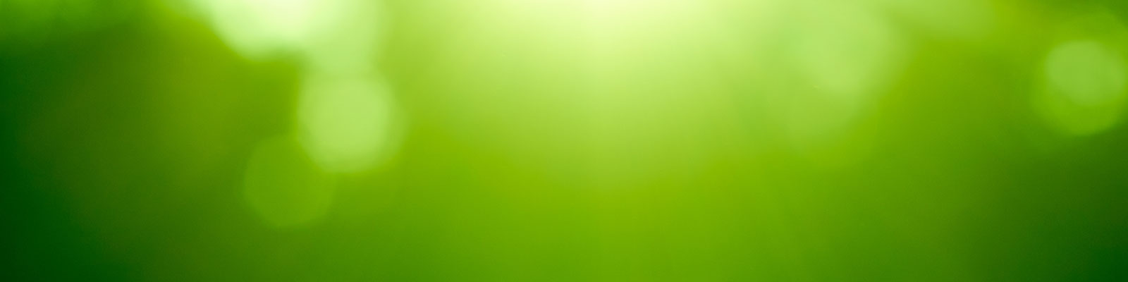 Green Background